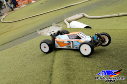 2015 DM 4WD Buggy 4WD Juni